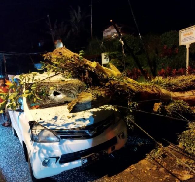 Pohon Tumbang Tutup Jalan Dan Timpa Kendaraan Di Padang Panjang