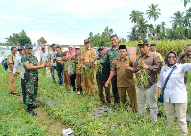 Pulihkan Ekonomi Masyarakat Pasca Pandemi Nagari Di Pesisir Selatan