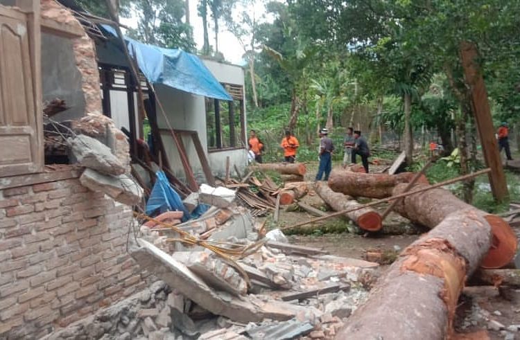 Rumah warga rusak berat tertimpa pohon tumbang (Dok. BPBD Padang Pariaman)
