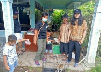 BKSDA Resort Solok mengamankan kucing hutan yang sempat masuk ke gedung perkantoran  (Dok. BKSDA)