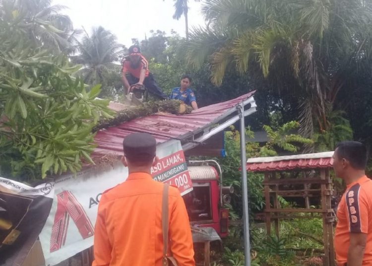 Petugas mengevakuasi pohon yang menimpa rumah warga (Dok. BPBD Agam)