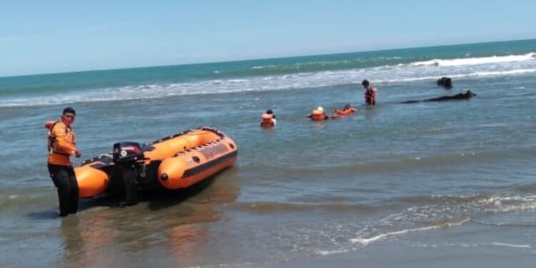 Evakuasi bocah tenggelam di pantai Tiram (Dok. BPBD Padang Pariaman)