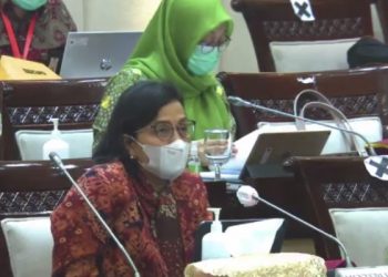 Menteri Keuangan Sri Mulyani Indrawati (Tangkapan Layar Youtube Komisi XI DPR RI Channel)