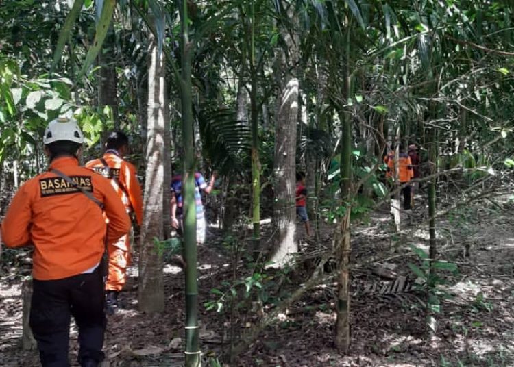 Tim SAR Gabungan melakukan pencarian warga yang hilang di kawasan hutan Mungka Limapuluh Kota