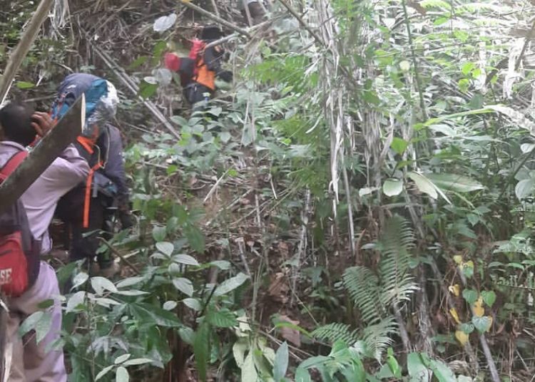 Tim SAR gabungan mencari korban hilang di Hutan Talang Mau Limapuluh Kota (Ist)