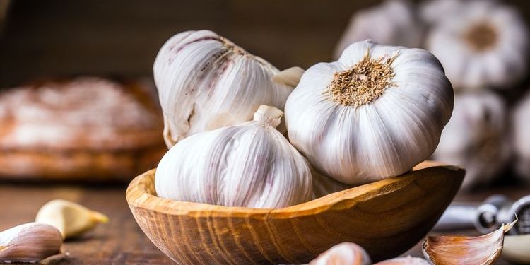 Bawang putih (Shutterstock)