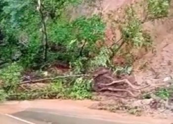 Longsor di Jalur Painan-Batang Kapas sempat menghambat akses kendaraan di wilayah tersebut.