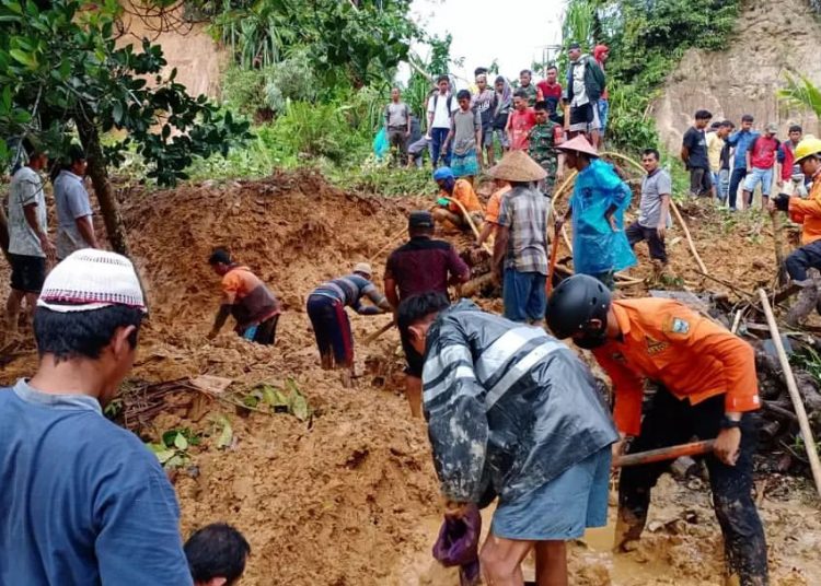 Tim gabungan dan masyarakat melakukan pencarian korban tertimbun longsor di Korong Tanah Taban, Nagari Pasia Laweh, Kecamatan Lubuk Alung (Dok. BPBD Padang Pariaman)