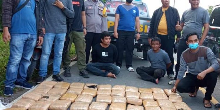 BNNK Pasaman Barat menangkap 4 pelaku dan mengamankan puluhan paket ganja. (Ist)