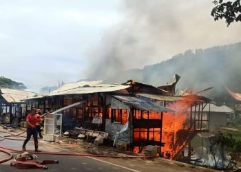 Kebakaran di dekat Istano Basa Pagaruyung (Dok. Damkar  Tanah Datar)