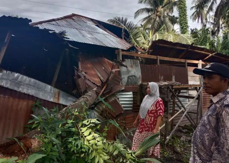 Rumah warga tertimpa pohon tumbang di Korong Kampung Tangah, Nagari Pungguang Kasiak, Kecamatan Lubuk Alung, Padang Pariaman, Jumat (15/10/2021). Foto: BPBD Padang Pariaman