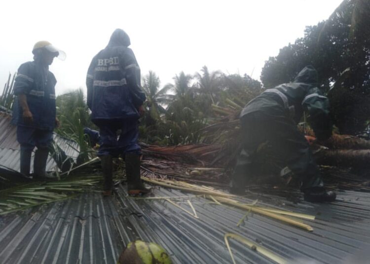 Pohon tumbang di Nagari Parit Malintang (Dok. BPBD Padang Pariaman)