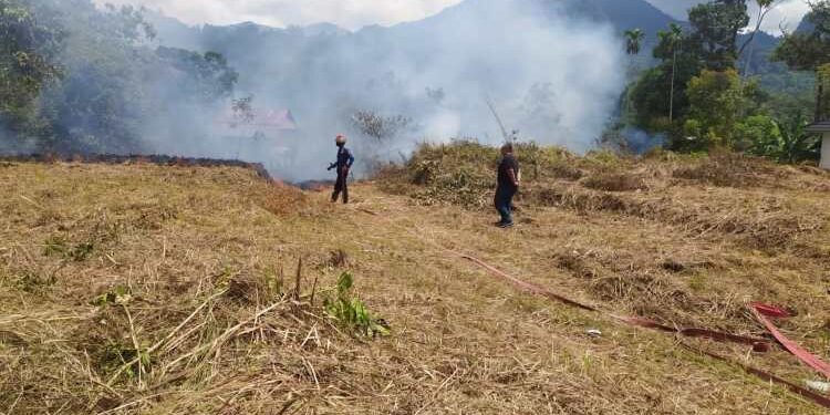 Kebakaran lahan di Air Dingin Padang (Ist)