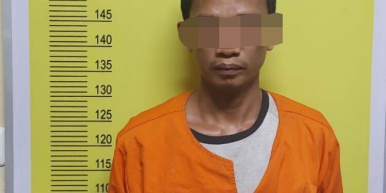 DS alias Idep (39) pelaku pemerkosaan terhadap anak di bawah umur di Pekanbaru ditangkap di Lubuk Basung. (Foto: net)