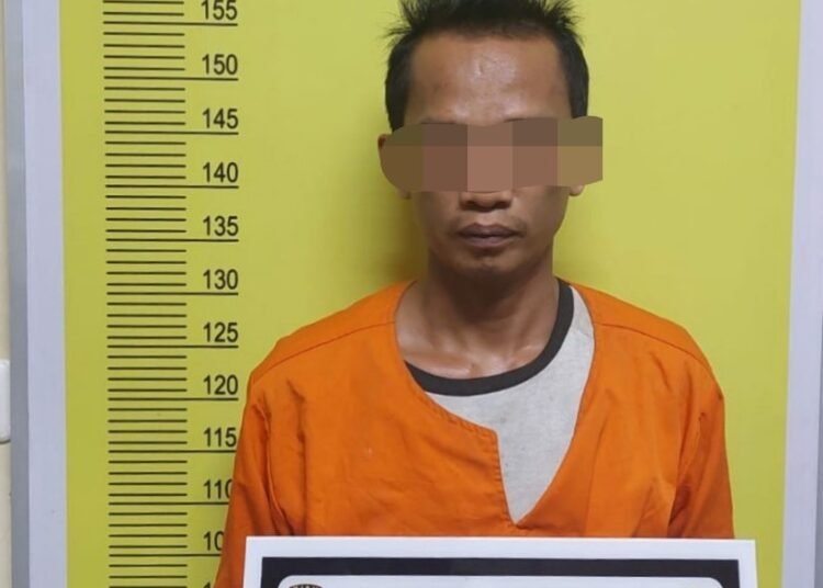 DS alias Idep (39) pelaku pemerkosaan terhadap anak di bawah umur di Pekanbaru ditangkap di Lubuk Basung. (Foto: net)