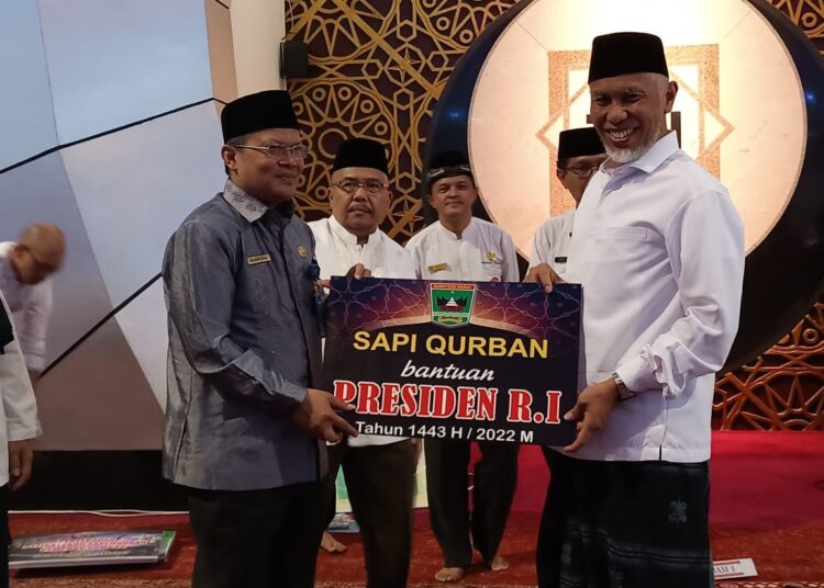 Gubernur Sumbar serahkan satu ekor sapi kurban sumbangan dari Presiden Jokowi ke Pemerintah Kabupaten Pasaman, di Masjid Raya Sumbar. (SumbarKita/Fajar)