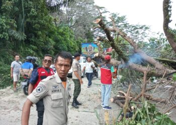 Ruas lalu lintas Padang - Solok atau lebih tepatnya di Jalan Atap Genteng RT 02 RW 11, Kelurahan Indarung, Kecamatan Lubuk Kilangan, yang sempat terkendala akibat sebuah pohon tumbang akhirnya bisa dilalui kembali.