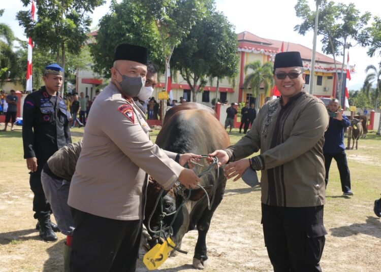 Polda Sumbar melaksankan kurban 59 ekor sapi dan 2 ekor kambing pada Iduladha 1443 Hijiriah. (Foto: net)