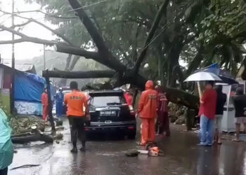 Hujan Badai Di Padang, Pohon Tumbang Timpa Mobil dan Warung Di Lubuk Begalung