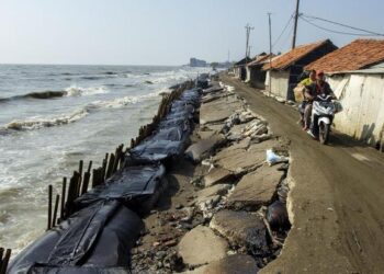 Ilustrai Abrasi Pantai (Foto: ANTARA)