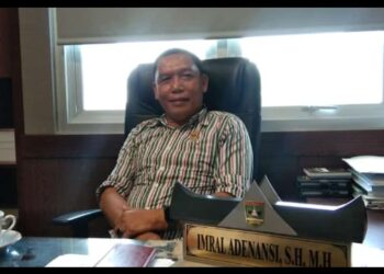 Ketua Organda Sumbar, Imral Adenansi  (ist)