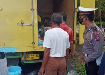 Hilang Kendali, Satu Unit Mobil Boks Rebah Kuda di Pariaman (SumbarKita/Rehasa)