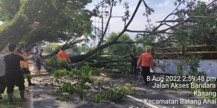 Pohon Tumbang di Jalan Menuju Bandara Internasional Minangkabau Makan Korban