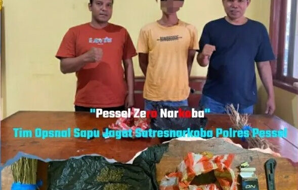 Seorang nelayan di Pesisir Selatan terpaksa mendekam di jeruji bersi setelah diciduk Tim Opsnal “Sapu Jagat” Satresnarkoba Polres Pesisir Selatan karena dugaan penyalahgunaan narkoba jenis ganja.