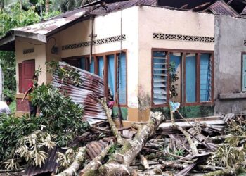 Kondisi rumah warga di Dusun Mudiak, Desa Bungo Tanjuang, Kecamatan Pariaman Timur, Kota Pariaman setelah tertimpa pohon tumbang (Dok. BPBD Kota Pariaman)