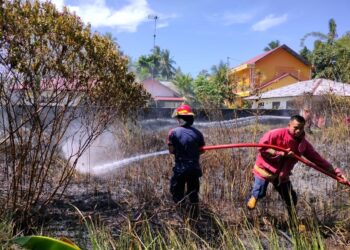 Petugas saat memadamkan api yang membakar lahan pertanian di Simpang Apar pada bulan April lalu. (Dok. Damkar Kota Pariaman)