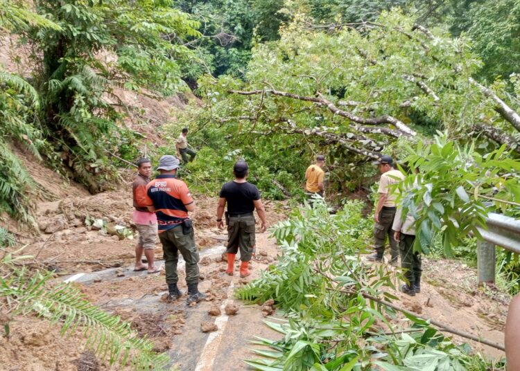 Pohon tumbang dan tanah longsor tutup jalan do Sungai Pisang Padang (IST)