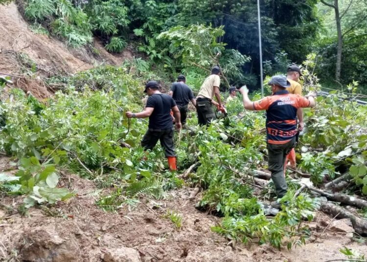 Angin kencang yang melanda kota Padang sejak Jumat (2/9/2022) menyebabkan bencana pohon tumbang di sejumlah lokasi di Padang.