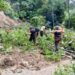 Angin kencang yang melanda kota Padang sejak Jumat (2/9/2022) menyebabkan bencana pohon tumbang di sejumlah lokasi di Padang.