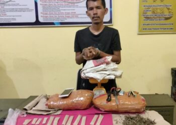 Salah seorang tersangka pengedar ganja yang ditangkap (Foto: Dokumen Polres Pessel)