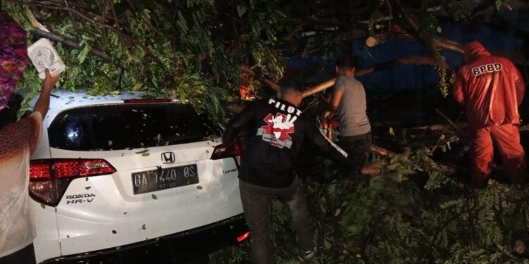 Pohon tumbang timpa mobil di Belakang Pondok, Kecamatan Padang Selatan, Kota Padang, Senin (3/10/2022).