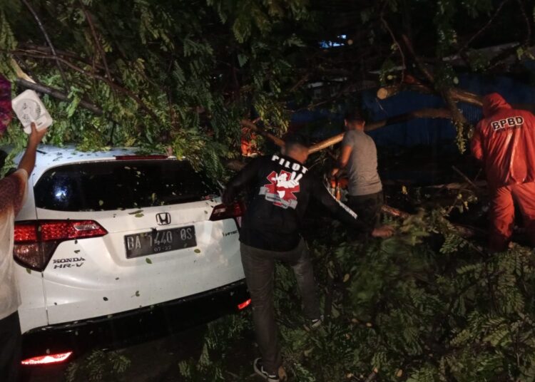 Pohon tumbang timpa mobil di Belakang Pondok, Kecamatan Padang Selatan, Kota Padang, Senin (3/10/2022).