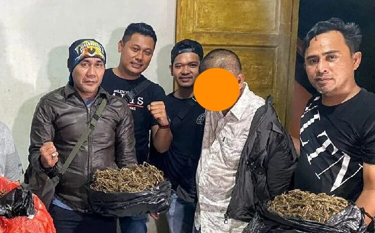 Terduga pelaku pengedar ganja dan barang bukti diamankan Satres Narkoba Polresta Padang. Foto: Ist