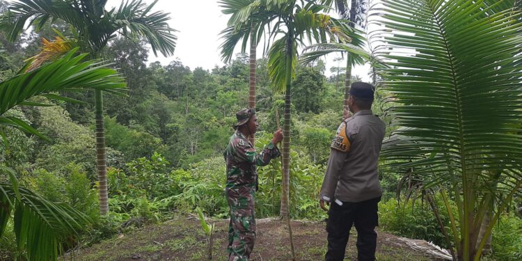 Proses pencarian Raini (65) yang hilang saat mengembalakan ternak di Agam resmi dihentikan (Dok. BPBD Agam)