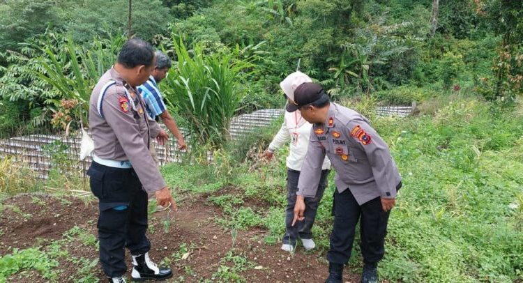 Aparat pemerintahan kecamatan dan personel Polsek IV Koto melakukan peninjauan ke lokasi temuan jejak harimau di ladang milik warga Koto Tinggi, Agam (ist)