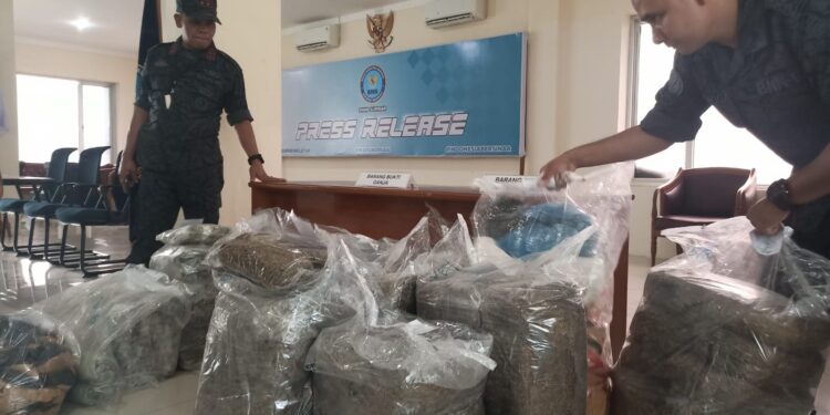 Penungkapan kasus peredaran narkoba di Sumbar, BNN amankan 105 kilogram ganja kering (ist)