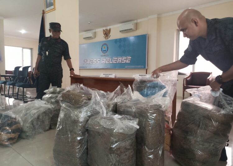 Penungkapan kasus peredaran narkoba di Sumbar, BNN amankan 105 kilogram ganja kering (ist)