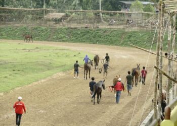 Sejumlah atlet tengah menjajal lintasan pacu kuda di Lapangan Dang Tuanku Bukit Gombak Tanah Datar (ist)