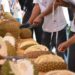 Panitia dan juri tengah melakukan penilaian terhadap puluhan durian khas Nagari Sungayang (ist)