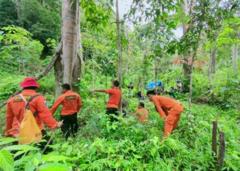 Ilustrasi Pencarian Orang Hilang di Hutan (ist)