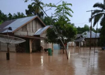 Kondisi banjir di Lengayang Pesisir Selatan, Jumat (11/11/2022). Foto: Ist