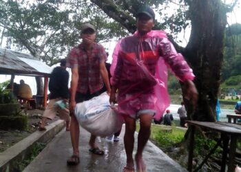 Ratusan Ton Ikan Mati di Danau Maninjau, Bau Bangkai Mulai Tercium