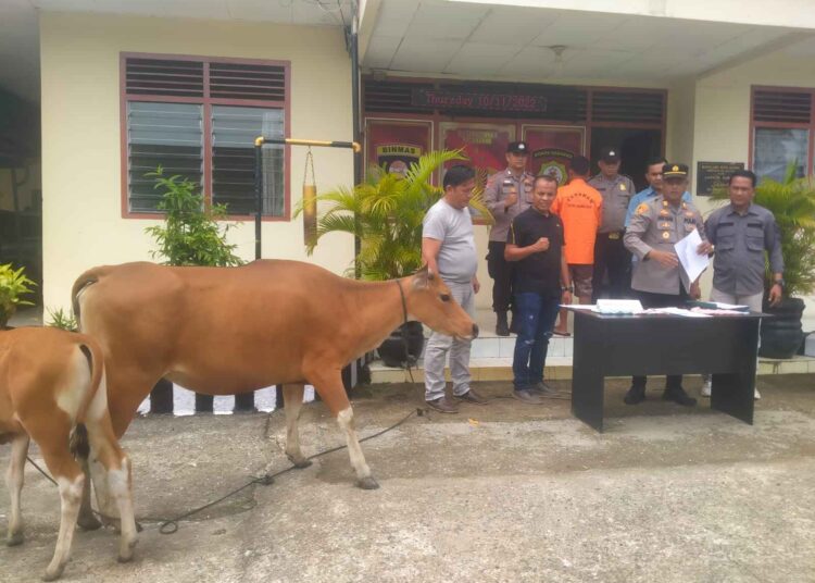 Pelaku dan barang bukti berhasil diamankan Polsek Sitiung I Koto Agung (ist)