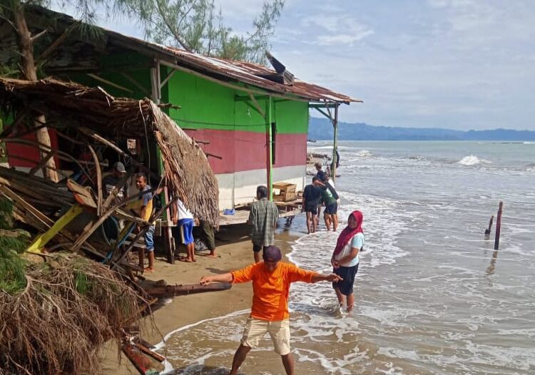 Gelombang Pasang di Pesisir Selatan Tumbangkan Pohon, Permukiman Warga Terancam