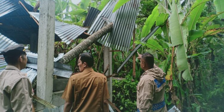 Begini Kondisi Terkini 9 Korban Tertimpa Pohon Tumbang di Padang Pariaman. Pohon Tumbang Timpa Warga