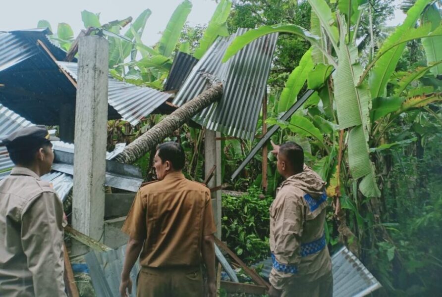 Begini Kondisi Terkini 9 Korban Tertimpa Pohon Tumbang Di Padang